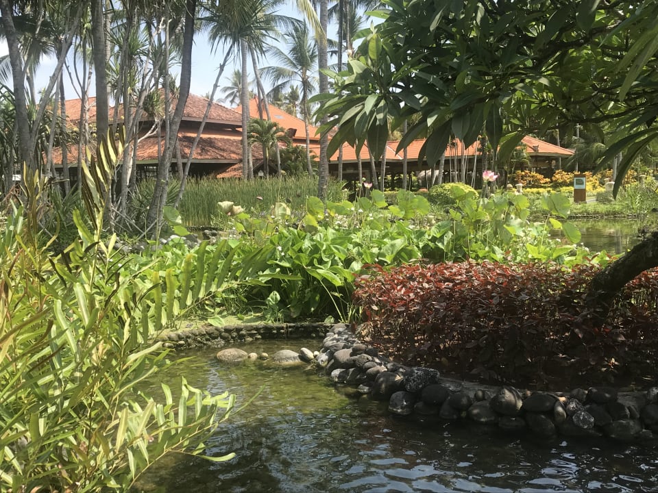 Gartenanlage Paradisus by Melia Bali