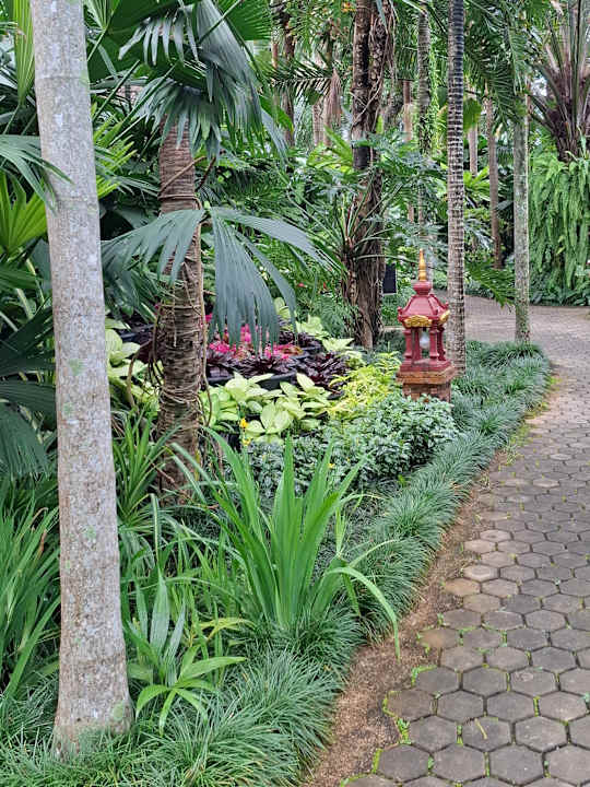 Gartenanlage Laluna Hotel & Resort