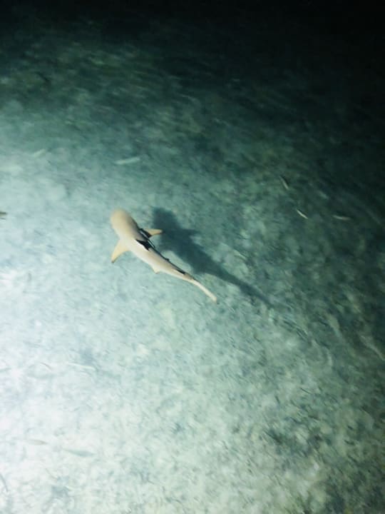 Sport & Freizeit Adaaran Select Hudhuran Fushi - Premium All Inclusive