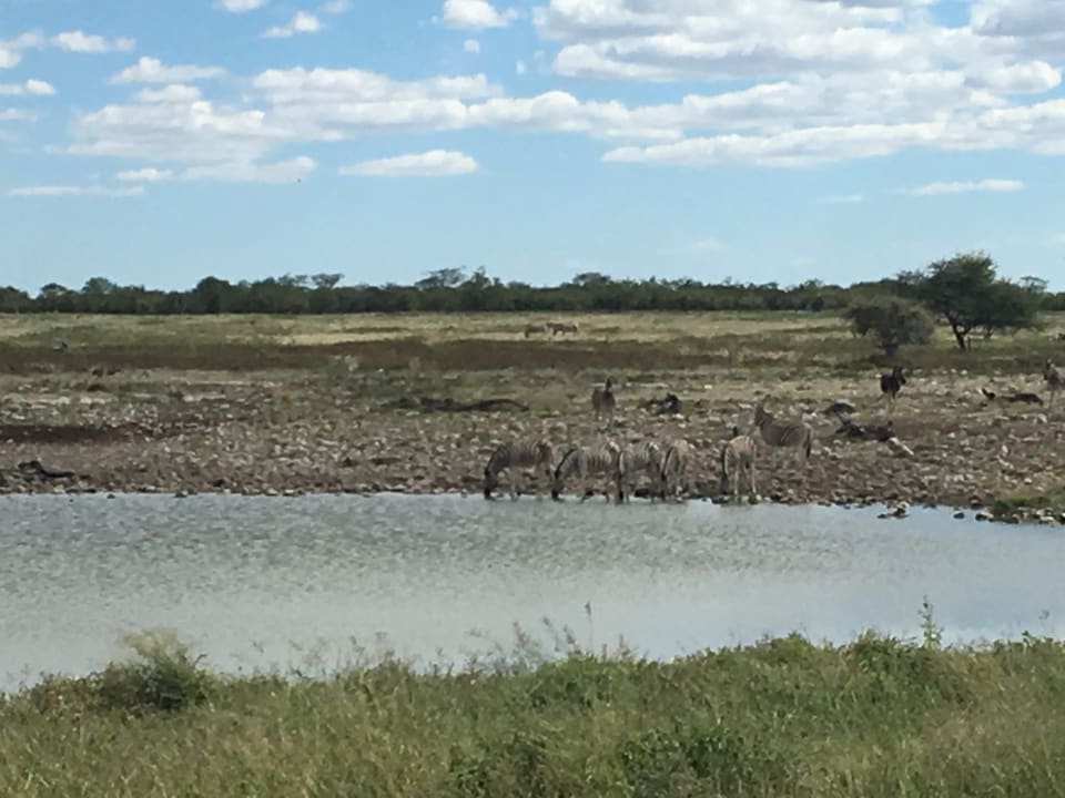 Ausblick Okaukuejo Camp