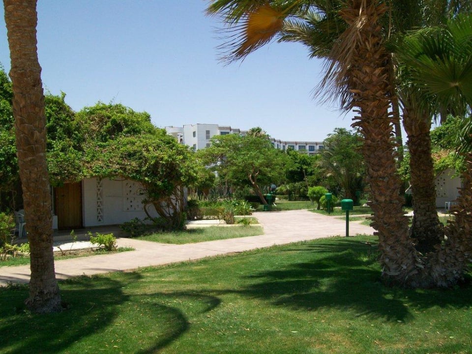 Gartenanlage zwischen Haupthaus und Bungalows Shams Safaga Resort