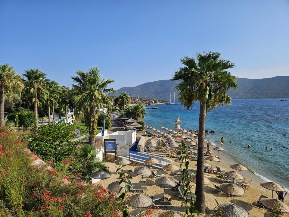 Ausblick TUI MAGIC LIFE Bodrum - Adult Only (16+)