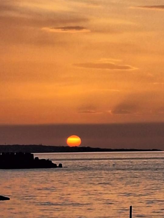 Zimmer allsun Hotel Carolina Mare