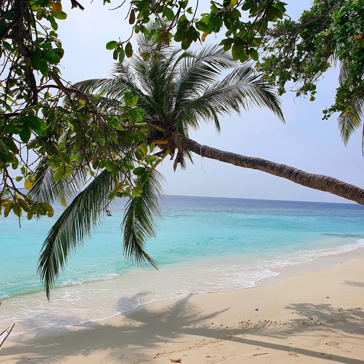 Strand Embudu Village