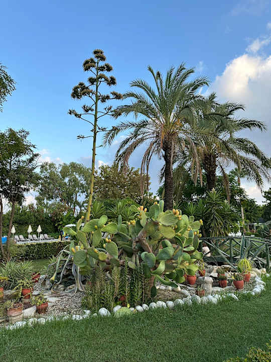 Gartenanlage Trendy Aspendos Beach Hotel