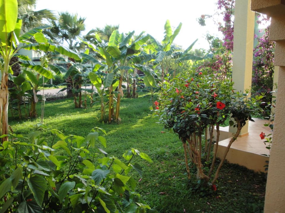 Gartenanlage VONRESORT Golden Beach