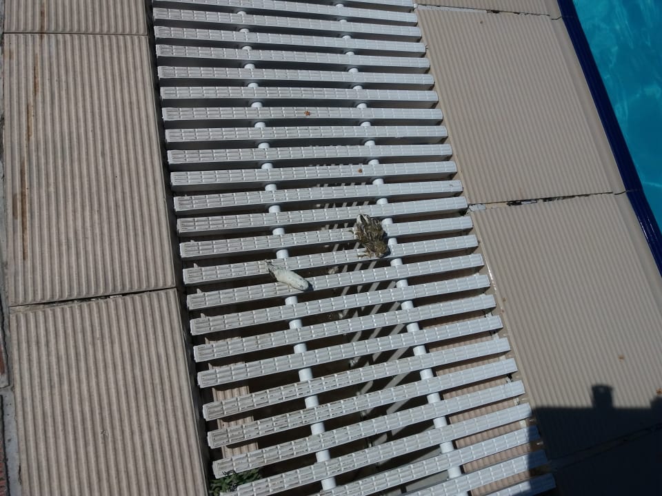 Pool Club Resort Atlantis