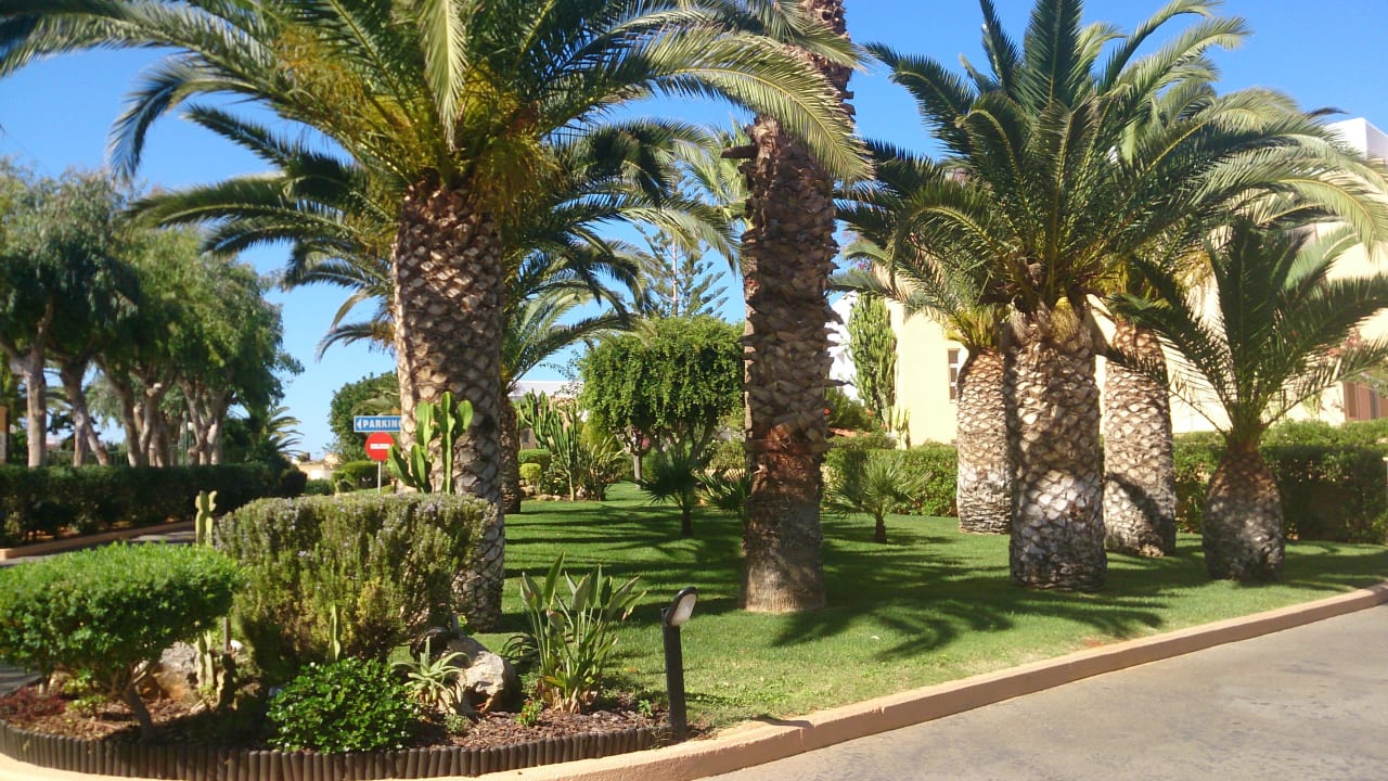 Wunderschöner Garten Anissa Beach & Village