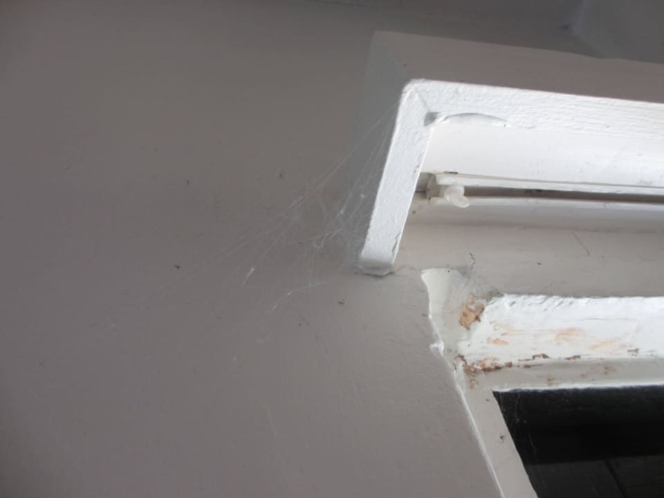 Spinnweben Center Parcs Park De Haan