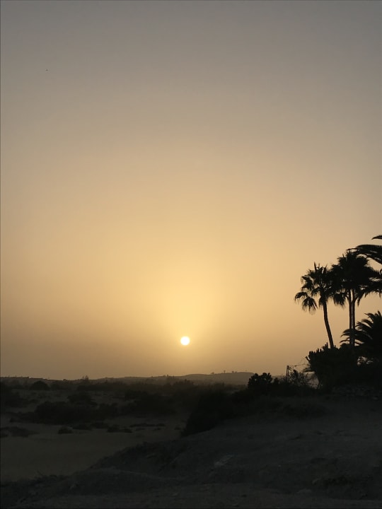 Ausblick Hotel Riu Palace Maspalomas Adults Only