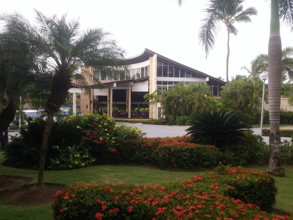 Gartenanlage Hotel Grand Palladium Palace Resort, Spa & Casino