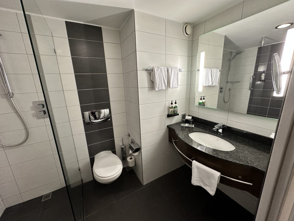 Zimmer Dorint Hotel Bonn