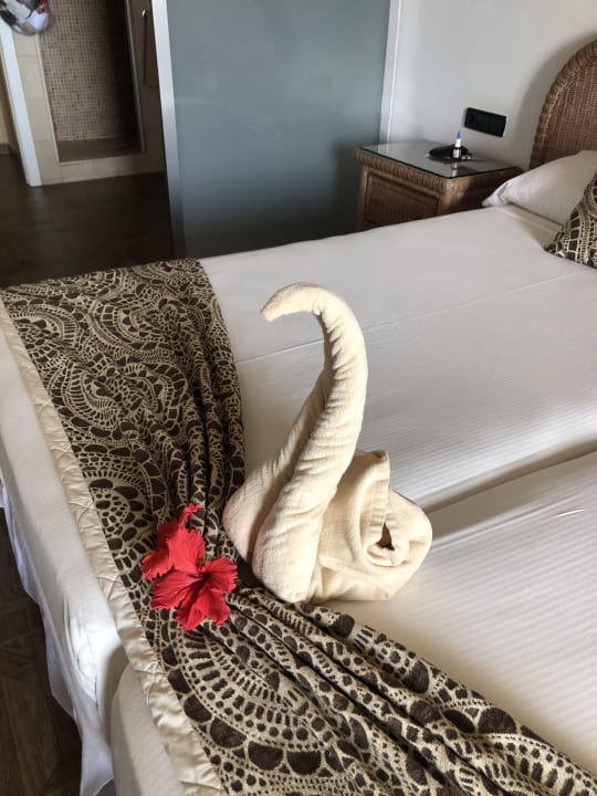 Zimmer Hotel Riu Touareg