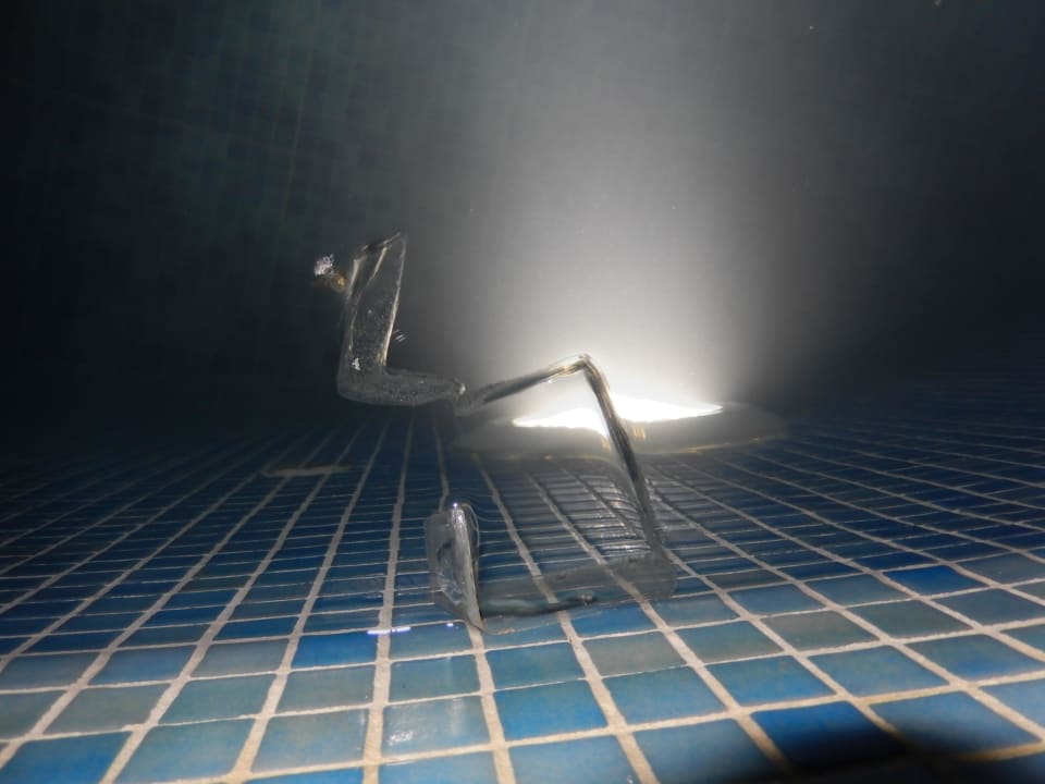 Des déchets dans la piscine  Hotel Oasis Dunas