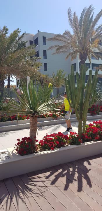 Gartenanlage Hotel Rosa Beach