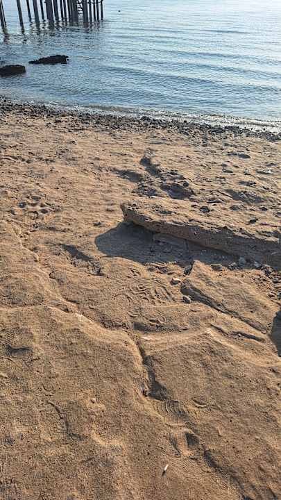 Strand Coral Hills Resorts & SPA