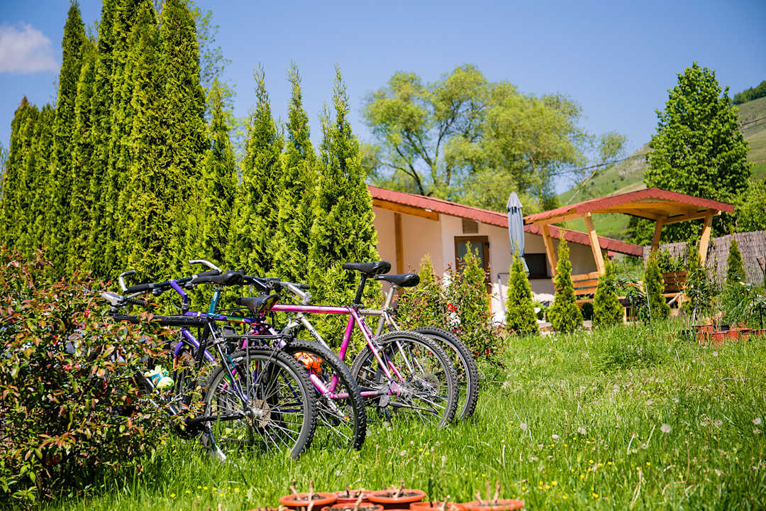 Sport & Freizeit Valisoara Holiday House