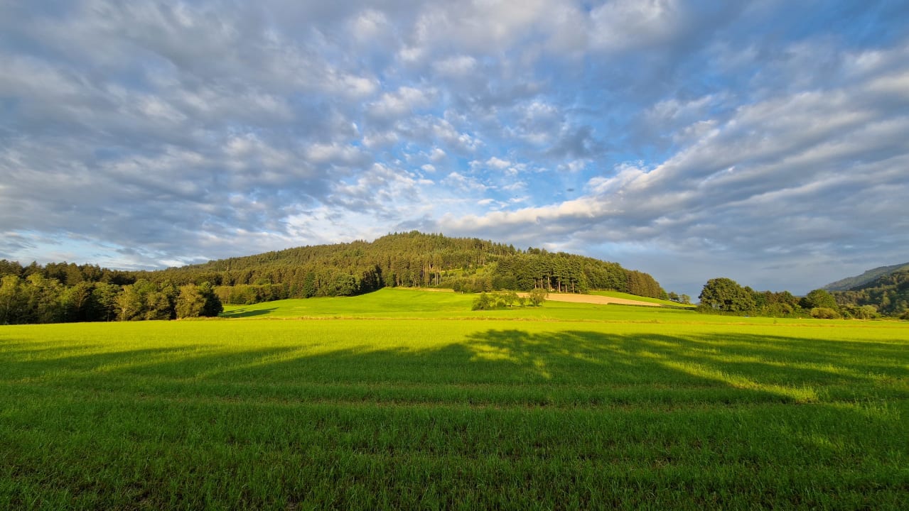 Ausblick Silberkönig Schwarzwald Hotel & Restaurant Ringhotel