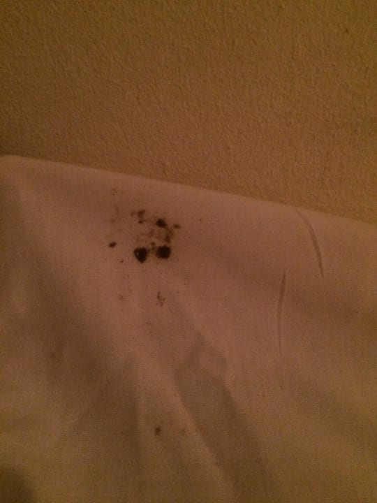 Schmutzige Bettlaken Shams Safaga Resort