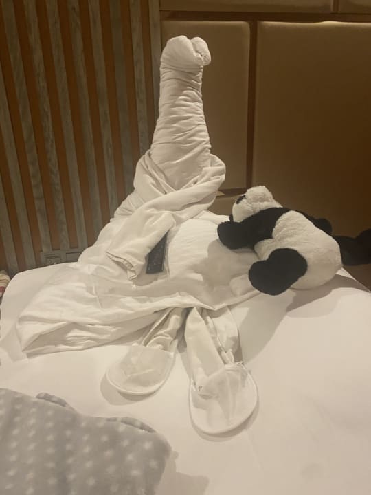 Zimmer Arycanda Kirman Premium