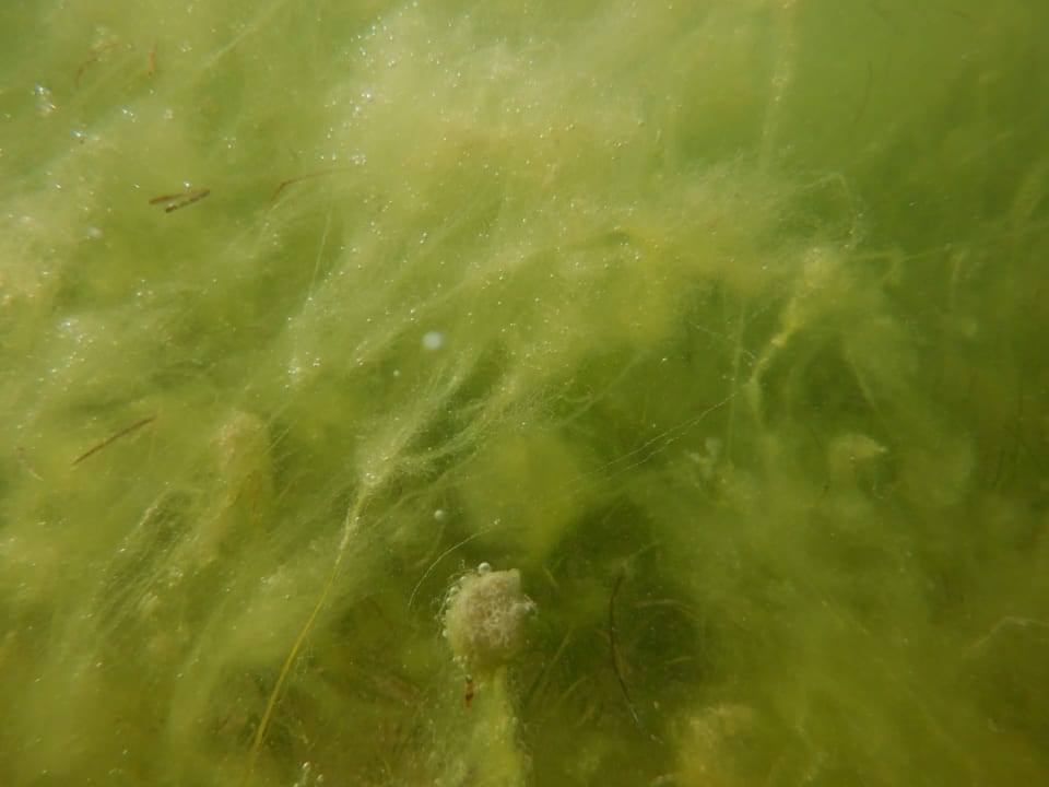 Sport & Freizeit Rixos Bab Al Bahr