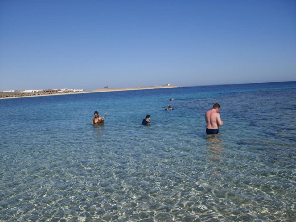 Das Meer Malikia Resort Abu Dabbab