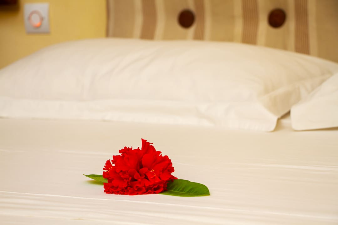 Ausblick Hotel Coco Lodge