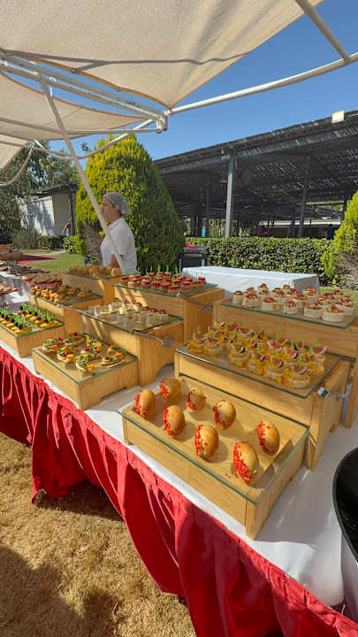 Gastro Delphin BE Grand
