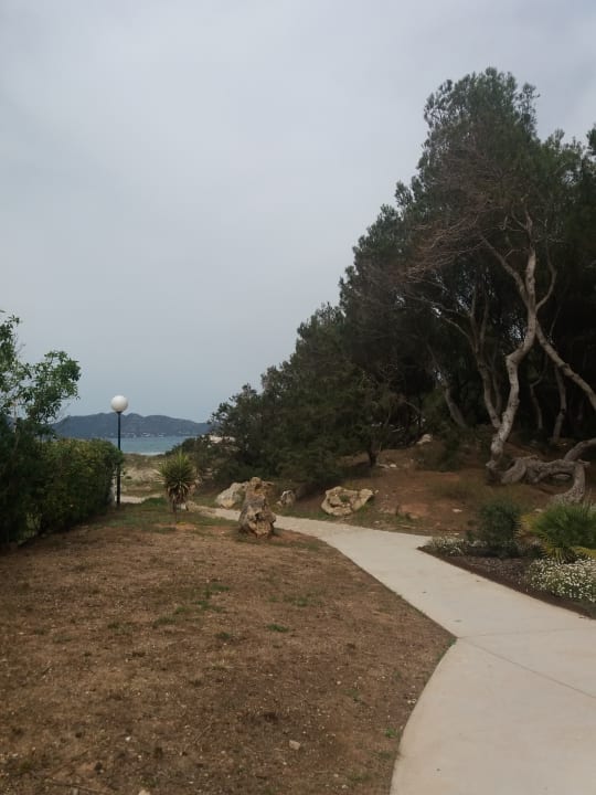 Gartenanlage Hipotels Bahia Grande