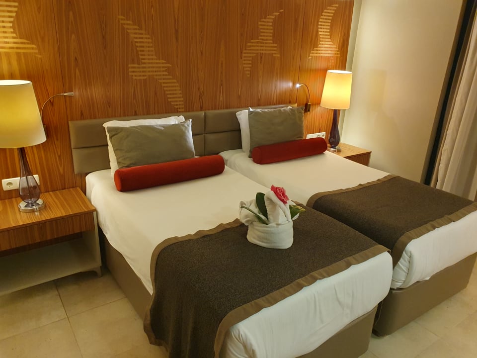 Zimmer PALOMA Perissia