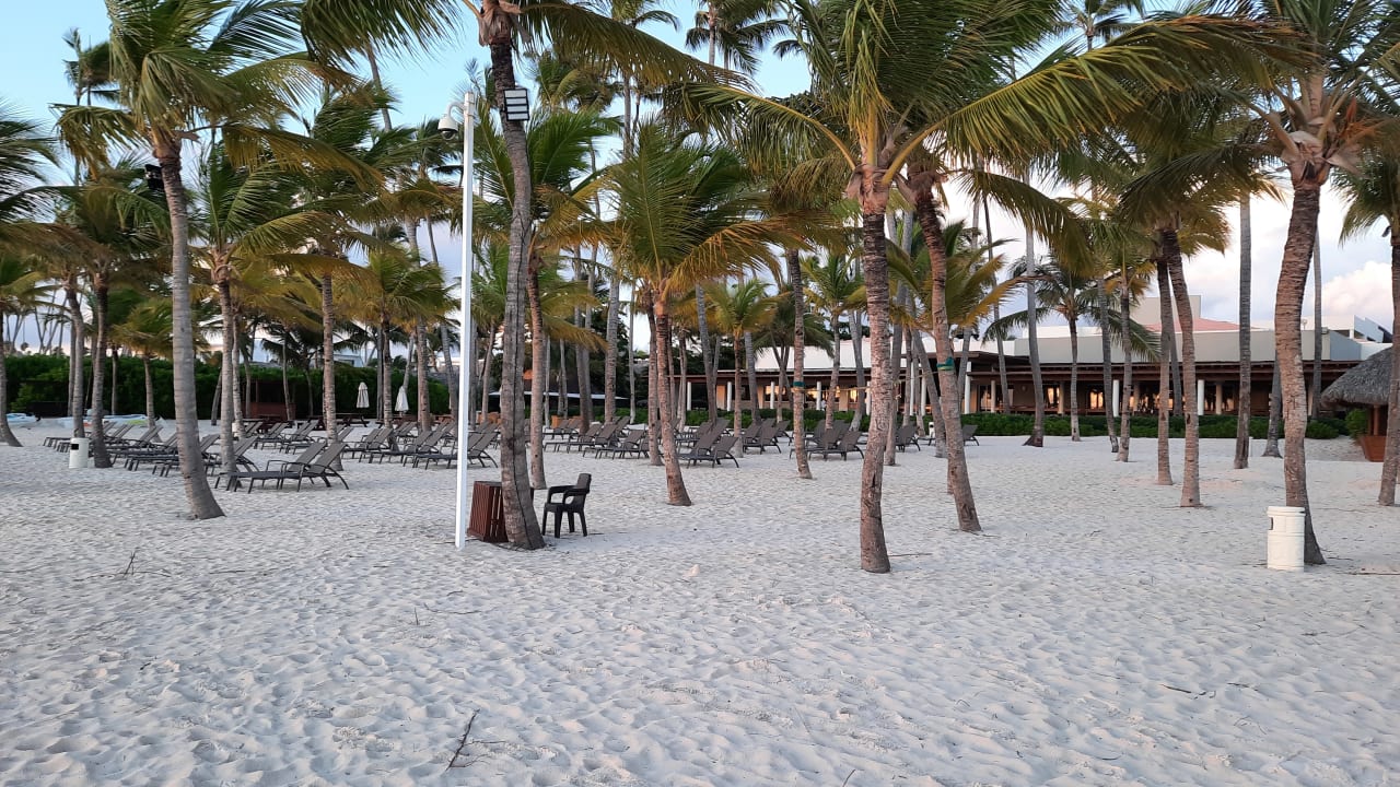 Strand Dreams Royal Beach Punta Cana