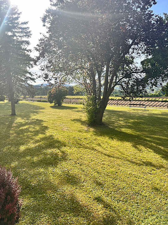 Zimmer Wilfinger Ring Bio Hotel