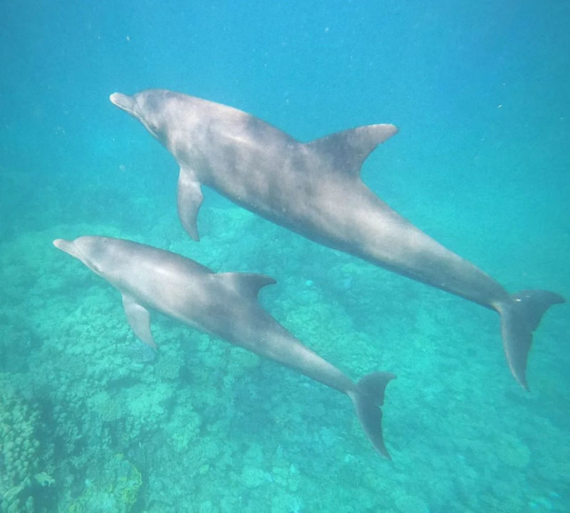 Sport & Freizeit El Karma Aqua Beach Resort