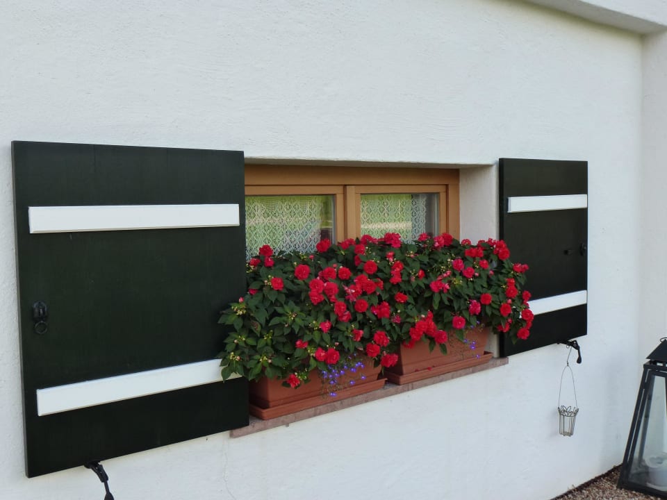 Süße Außenansicht Gästehaus und FeWo Egglerlehen