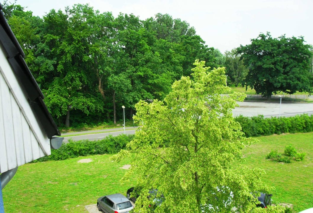 Blick vom Zimmer zur Straße Hotel am Tierpark