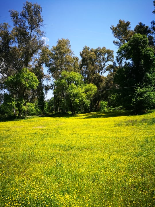 Gartenanlage Grecotel LUXME Daphnila Bay