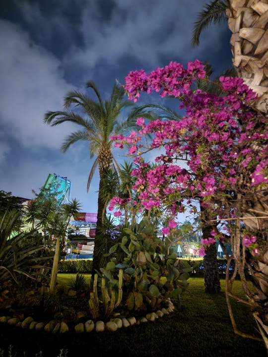 Gartenanlage Trendy Aspendos Beach Hotel