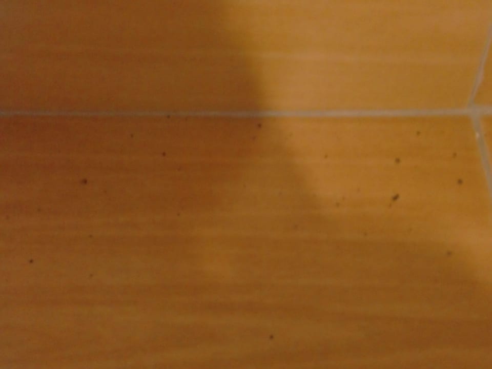 Schimmel Mira Meridia Beach Hotel