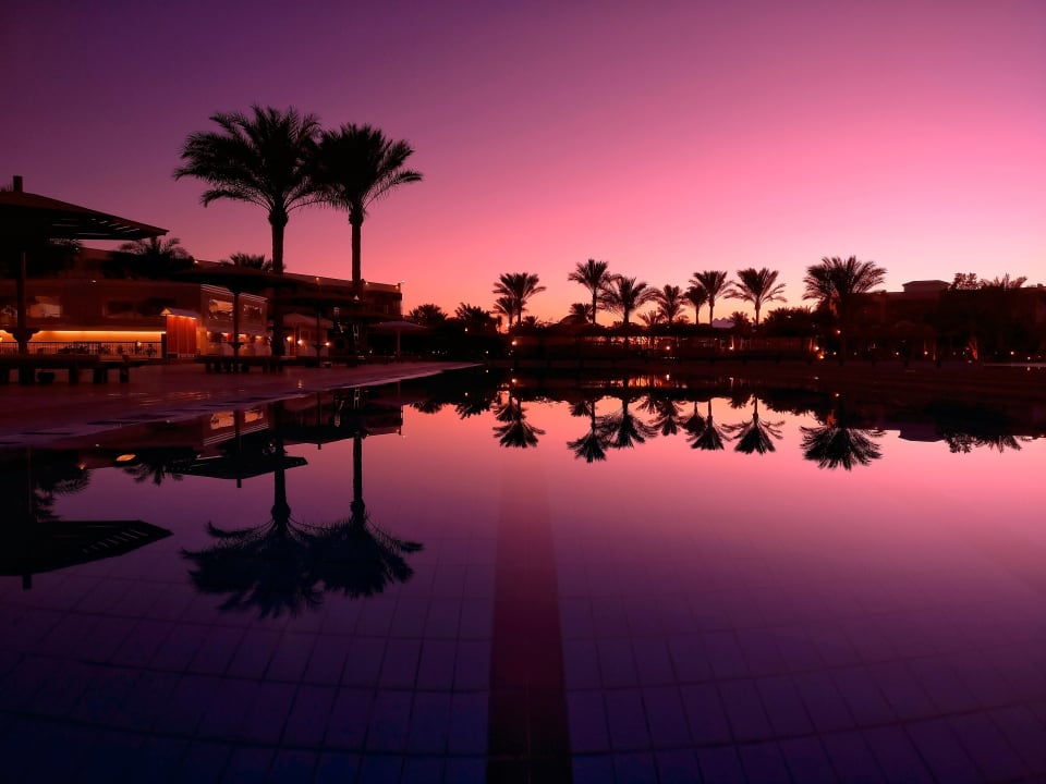 Olympischer Pool zur Blauen Stunde Desert Rose