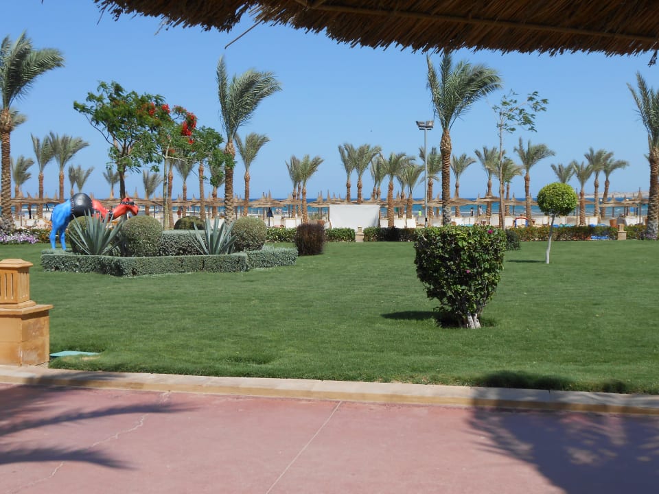 Blick zum Strand Pickalbatros Palace Resort