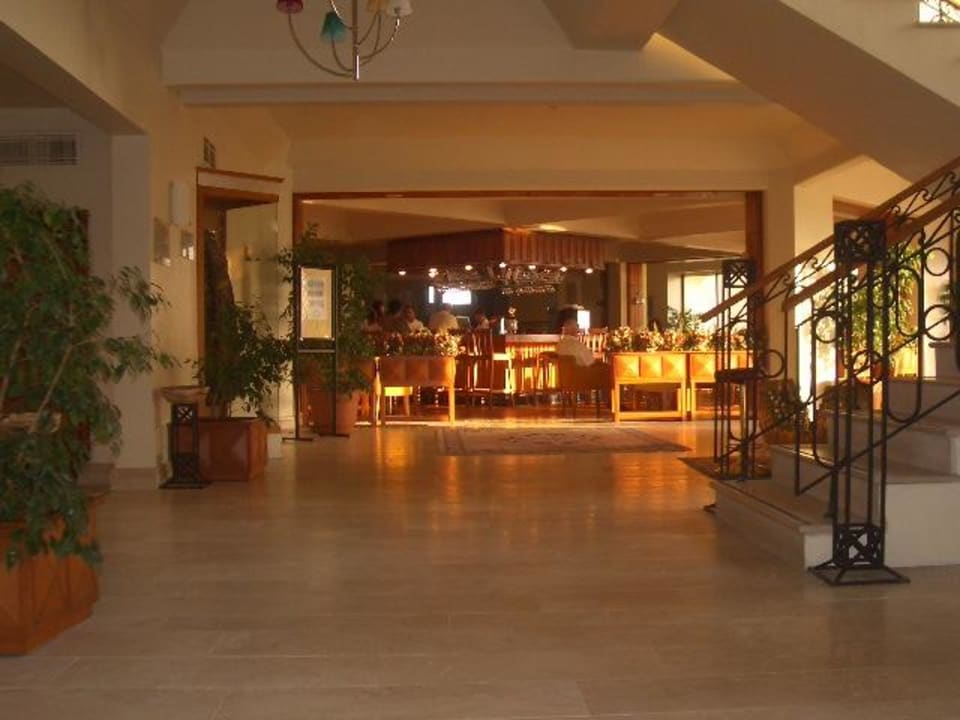 Bachus Bar PALOMA Perissia