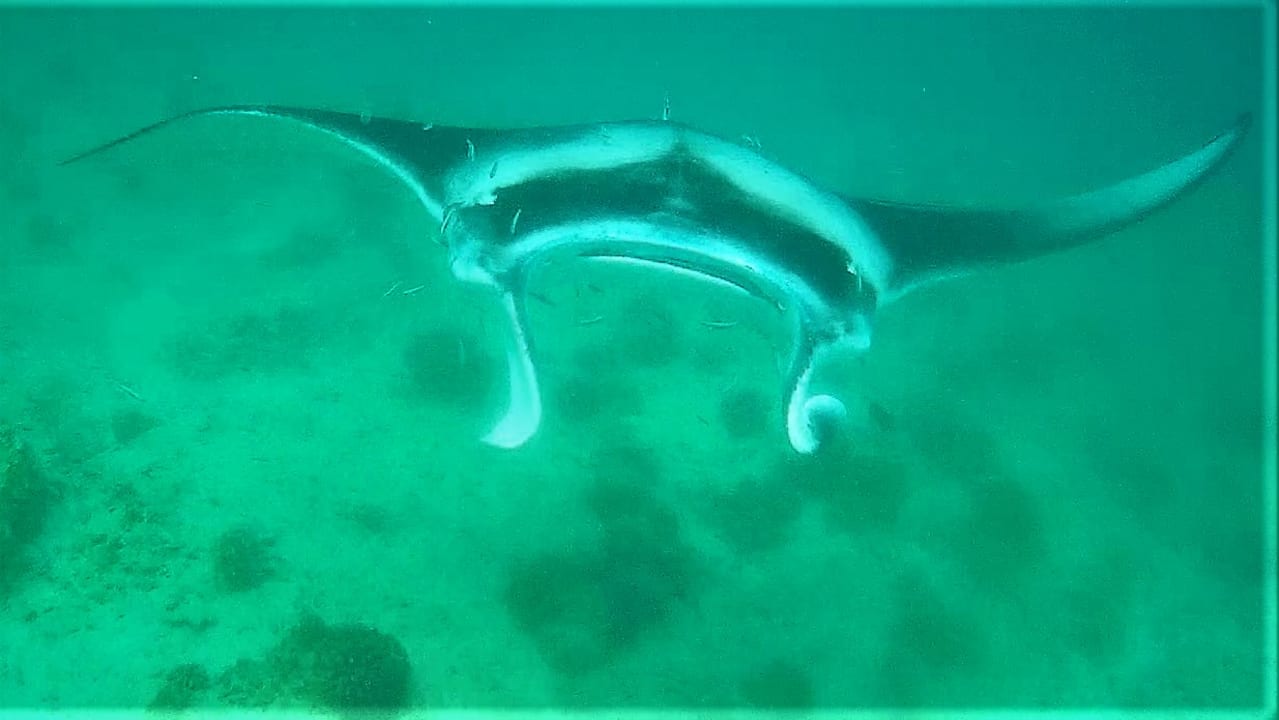 Sport & Freizeit Summer Island Maldives