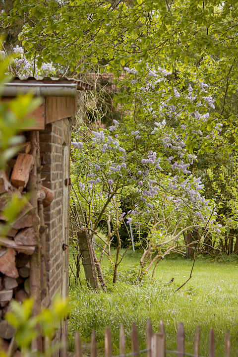 Gartenanlage Apartment Hockmannshof