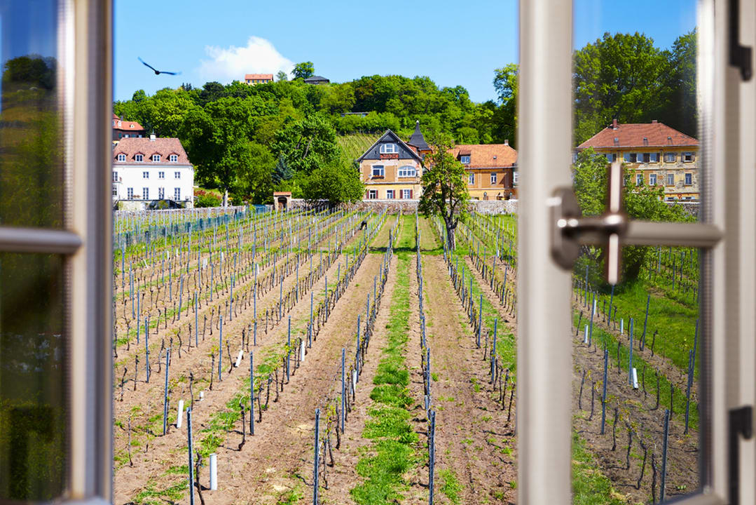 Ausblick Weingut Haus Steinbach