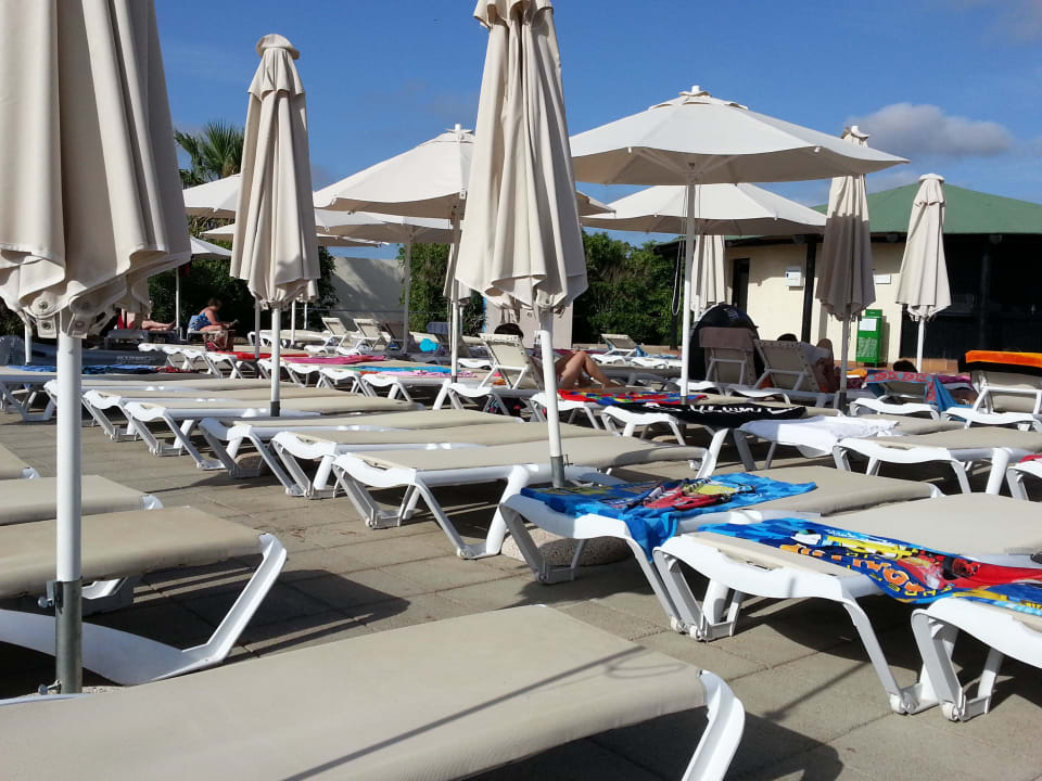 Liegen  blau punta reina