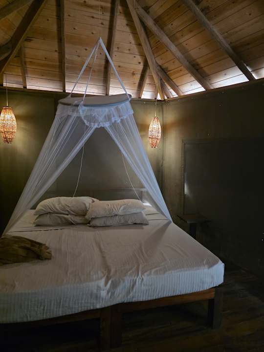 Zimmer Jungle Beach Camp Ahungalla