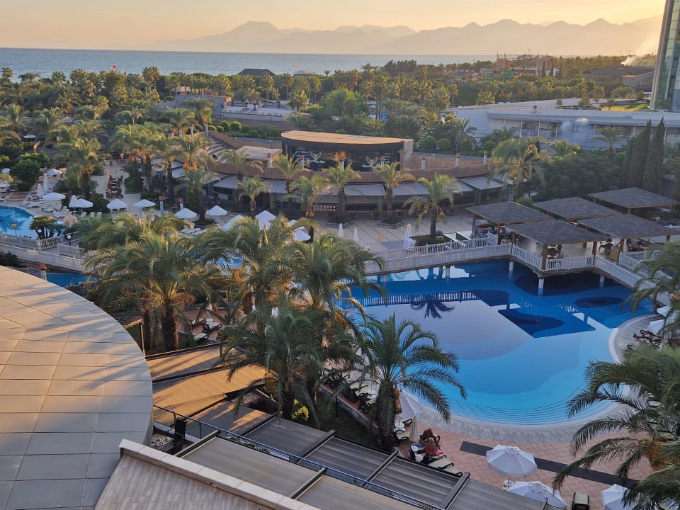 Pool Royal Wings Hotel