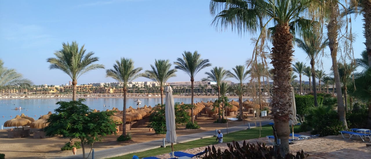 Gartenanlage Steigenberger Coraya Beach - Adults only