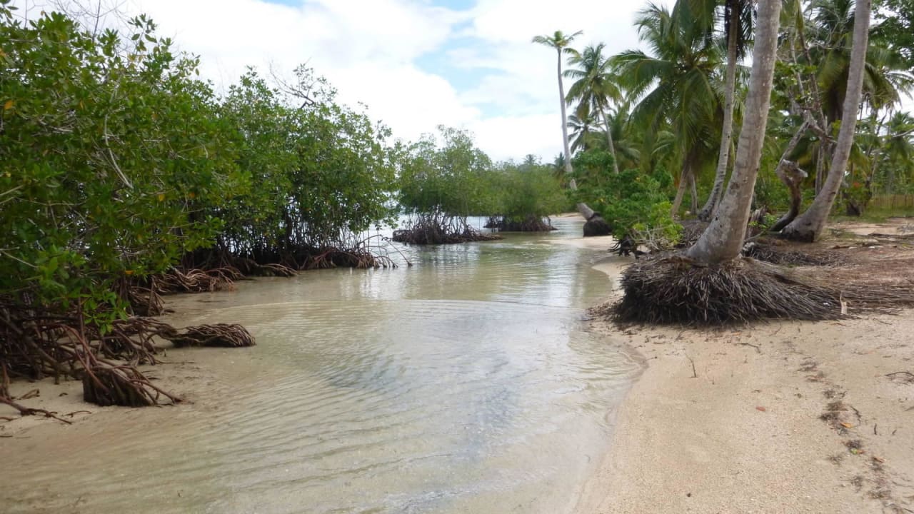 15 Minuten nach rechts Bahia Principe Grand El Portillo