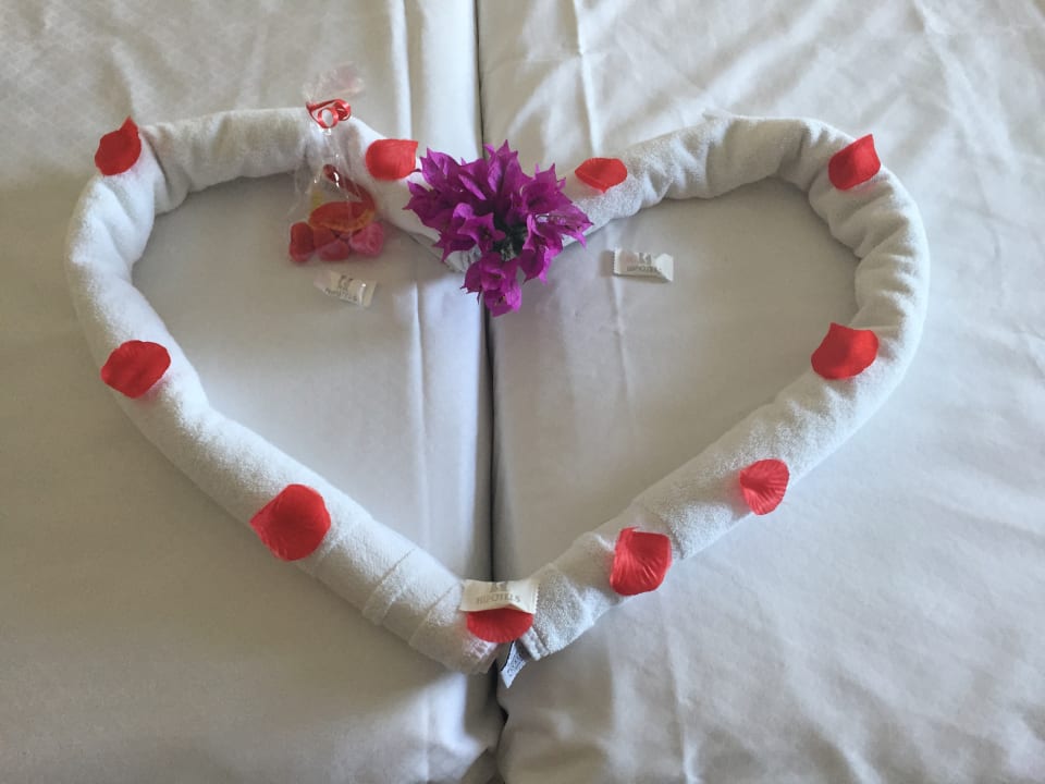 Zimmer Hipotels Cala Millor Park